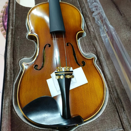  Arsenberg Apvelita Profesyonel 4/4 Keman (kutu, yay, reçine, keman yastığı dahil)