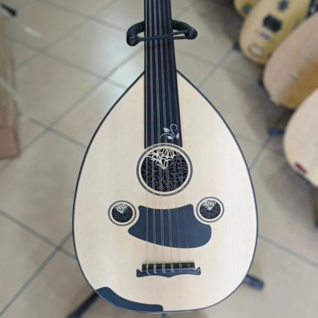 Profesyonel Ud (Ceviz, maun tekne) soft kılıf, yedek tel, mızrap hediye