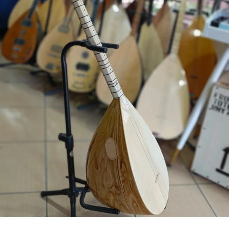 Kestane Tekne Profesyonel Kısa Sap Bağlama (kılıf+yedek tel+mızrap hediye)