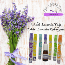 LAVANTA SET 2