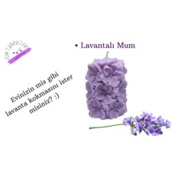 LAVANTA MUMU 