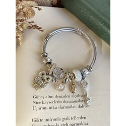Taşlı Papağan Figürlü Çelik Pandora Bileklik 