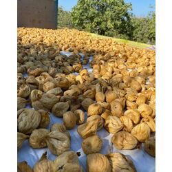 10 Kg 70 Adetli dağ inciri
