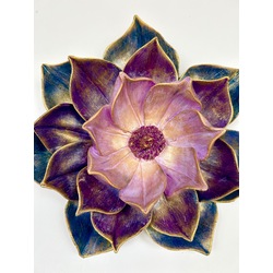 Lotus nilüfer çiçeği