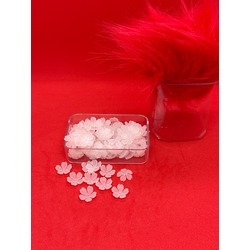 38 - SEDEF ÇİÇEK (25GR)