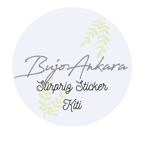 Sürpriz Sticker Kiti