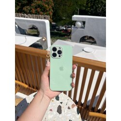 Cam Lansman Su Yeşili Telefon Kabı
