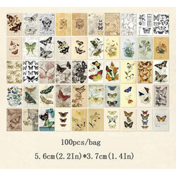Kelebek Scrapbook Kitap
