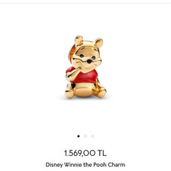 Disney winnie the pooh charm