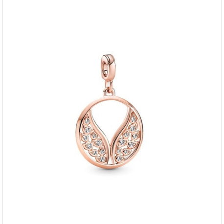 Pandr alevli kanatlı madalyon charm