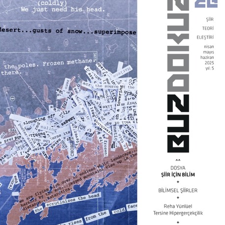 BUZDOKUZ DERGİ 26. SAYI