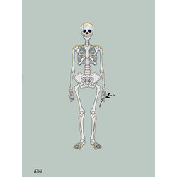 Skeleton 2