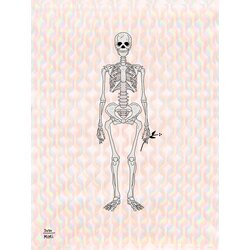 Skeleton 1