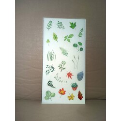 yaprak şeffaf sticker 