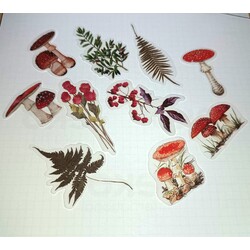 10 adet çiçek sticker 