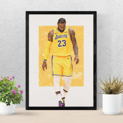 Lebron James Collection #2