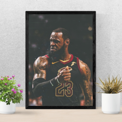 Lebron James Collection #3