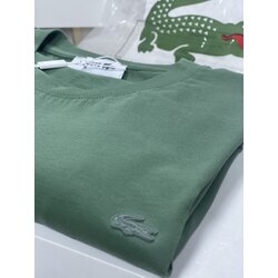 LACOSTE TİŞÖRT 