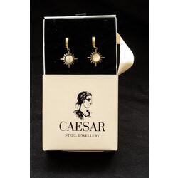 Çelik Gold Kutup Küpe