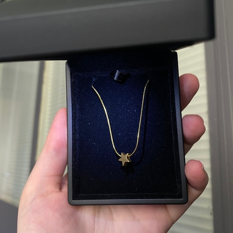 Çelik Mini Gold Yıldız Kolye 