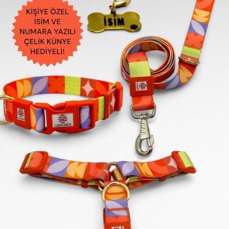 CARAMELOS KÖPEK TASMA SETİ KİŞİYE ÖZEL İSİMLİ TASMA, H TİPİ TASMA ,GÖVDE BOYUN GEZDİRME