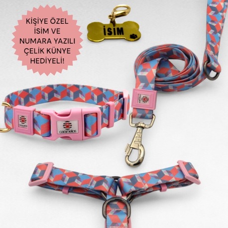 CARAMELOS KÖPEK TASMA SETİ KİŞİYE ÖZEL İSİMLİ TASMA, H TİPİ TASMA ,GÖVDE BOYUN GEZDİRME