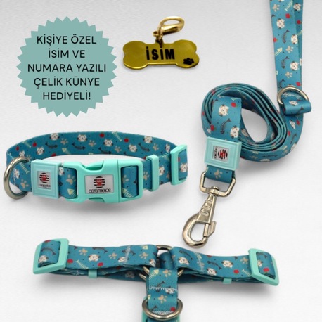 CARAMELOS KÖPEK TASMA SETİ KİŞİYE ÖZEL İSİMLİ TASMA, H TİPİ TASMA ,GÖVDE BOYUN GEZDİRME