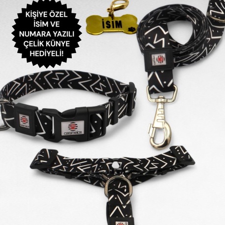 CARAMELOS KÖPEK TASMA SETİ KİŞİYE ÖZEL İSİMLİ TASMA, H TİPİ TASMA ,GÖVDE BOYUN GEZDİRME