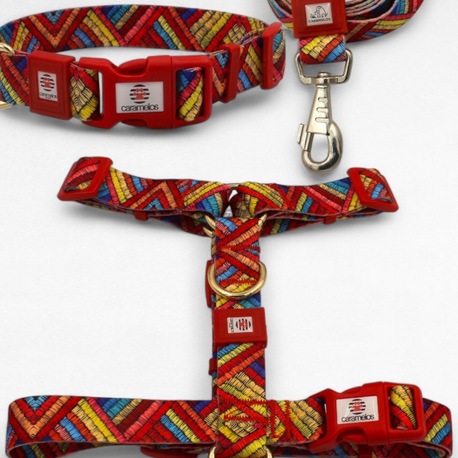 CARAMELOS KÖPEK TASMA SETİ KİŞİYE ÖZEL İSİMLİ TASMA, H TİPİ TASMA ,GÖVDE BOYUN GEZDİRME