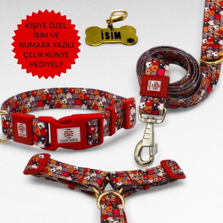 CARAMELOS KÖPEK TASMA SETİ KİŞİYE ÖZEL İSİMLİ TASMA, H TİPİ TASMA ,GÖVDE BOYUN GEZDİRME