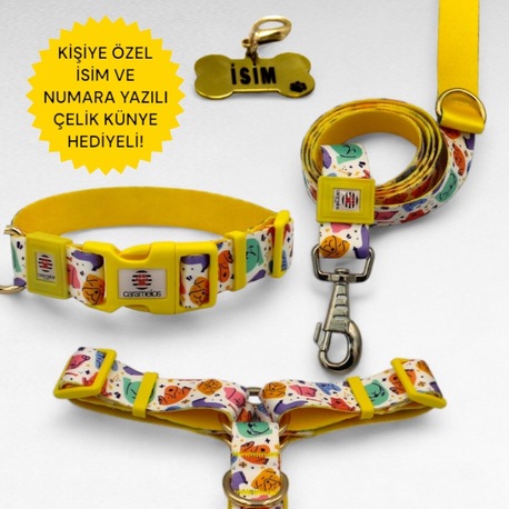 CARAMELOS KÖPEK TASMA SETİ KİŞİYE ÖZEL İSİMLİ TASMA, H TİPİ TASMA ,GÖVDE BOYUN GEZDİRME