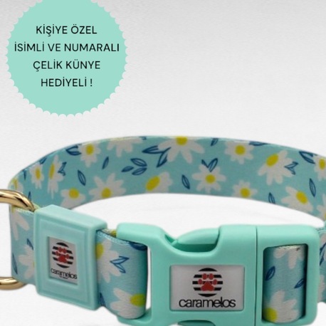 CARAMELOS İSİMLİ KÖPEK TASMASI, İSİMLİ TASMA, ORTA VE BÜYÜK IRK TASMA