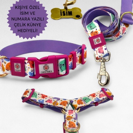 CARAMELOS KÖPEK TASMA SETİ KİŞİYE ÖZEL İSİMLİ TASMA, H TİPİ TASMA ,GÖVDE BOYUN GEZDİRME