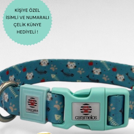 CARAMELOS İSİMLİ KÖPEK TASMASI, İSİMLİ TASMA, ORTA VE BÜYÜK IRK TASMA