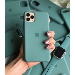Kaktüs Apple Lansman Kılıf