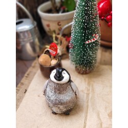 Penguen Robin