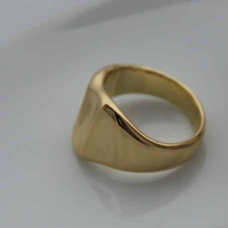 Aurora Elegance Yüzük | Çelik