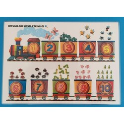 Hayvanları Sayma Etkinliği 