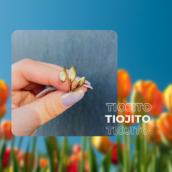 Tiojito