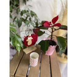 Long Mini - Red Poppy 110ml 