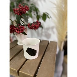 CLASSİC M - Black Touch 230ml