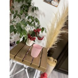 MATTISE - Pure Pink 300ml