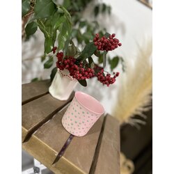 CLASSİC M - Pinkish Poppy 230ml