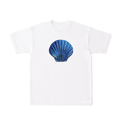 Deniz kabuğu - T-Shirt