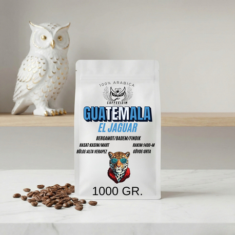 GUATEMALA EL JAGUAR | Rainforest Series