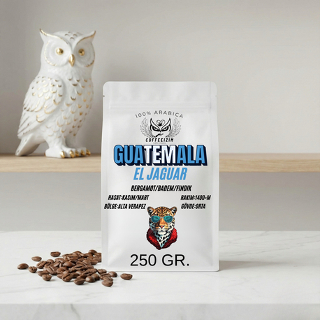 GUATEMALA EL JAGUAR | Rainforest Series