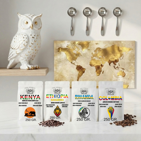 GLOBAL SELECTION KIT | World Tour