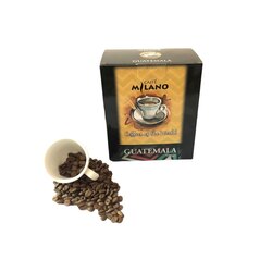 GUATEMALA FİLTRE KAHVE 500GR