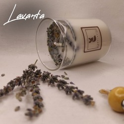 Elya Lavanta