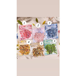 Ağaç dalları pet stickerler
